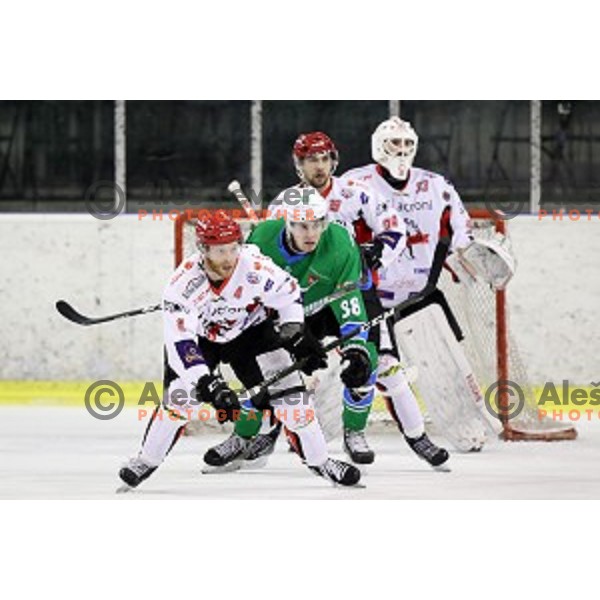 of SZ Olimpija in action during quarter-final of Alps League ice-hockey match between SZ Olimpija and Acroni Jesenice in Tivoli Hall, Ljubljana, Slovenia on March 8, 2018