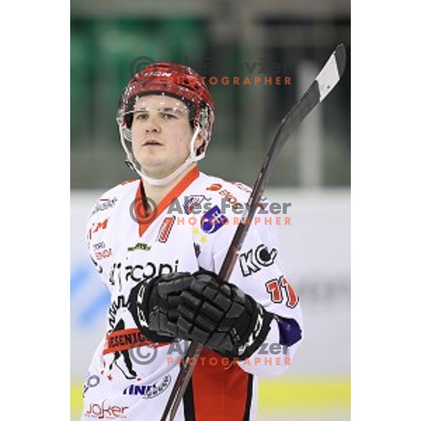 Luka Kalan during quarter-final of Alps League ice-hockey match between SZ Olimpija and Acroni Jesenice in Tivoli Hall, Ljubljana, Slovenia on March 8, 2018