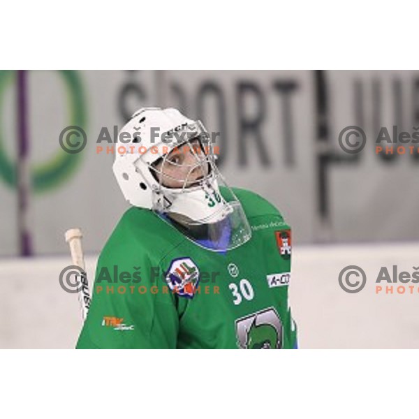 of SZ Olimpija in action during quarter-final of Alps League ice-hockey match between SZ Olimpija and Acroni Jesenice in Tivoli Hall, Ljubljana, Slovenia on March 8, 2018