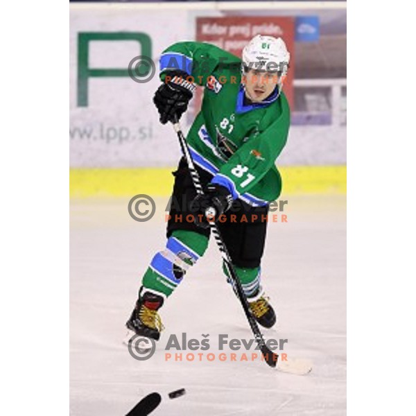 of SZ Olimpija in action during quarter-final of Alps League ice-hockey match between SZ Olimpija and Acroni Jesenice in Tivoli Hall, Ljubljana, Slovenia on March 8, 2018