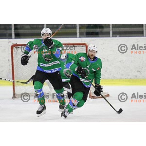 of SZ Olimpija in action during quarter-final of Alps League ice-hockey match between SZ Olimpija and Acroni Jesenice in Tivoli Hall, Ljubljana, Slovenia on March 8, 2018