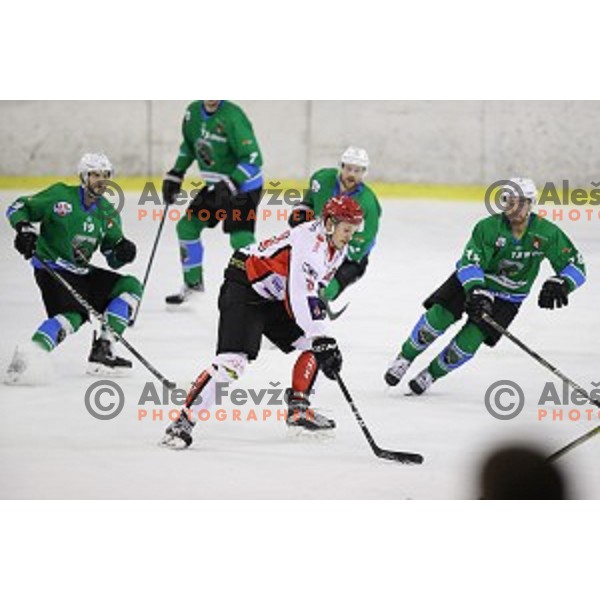 of SZ Olimpija in action during quarter-final of Alps League ice-hockey match between SZ Olimpija and Acroni Jesenice in Tivoli Hall, Ljubljana, Slovenia on March 8, 2018