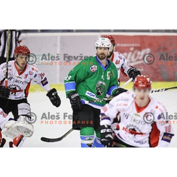 of SZ Olimpija in action during quarter-final of Alps League ice-hockey match between SZ Olimpija and Acroni Jesenice in Tivoli Hall, Ljubljana, Slovenia on March 8, 2018