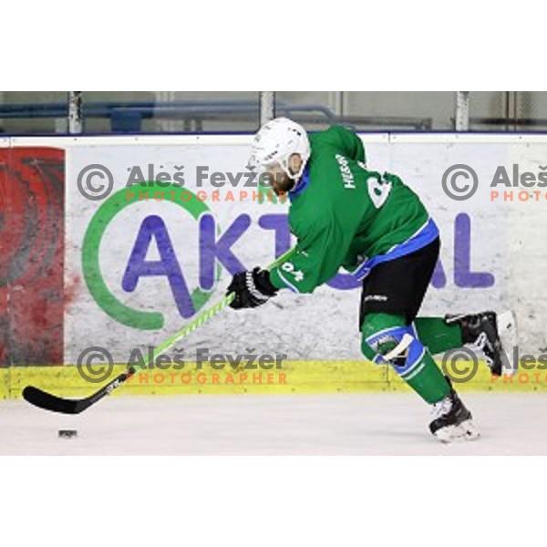 of SZ Olimpija in action during quarter-final of Alps League ice-hockey match between SZ Olimpija and Acroni Jesenice in Tivoli Hall, Ljubljana, Slovenia on March 8, 2018