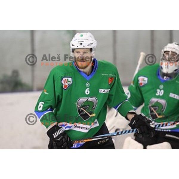 of SZ Olimpija in action during quarter-final of Alps League ice-hockey match between SZ Olimpija and Acroni Jesenice in Tivoli Hall, Ljubljana, Slovenia on March 8, 2018