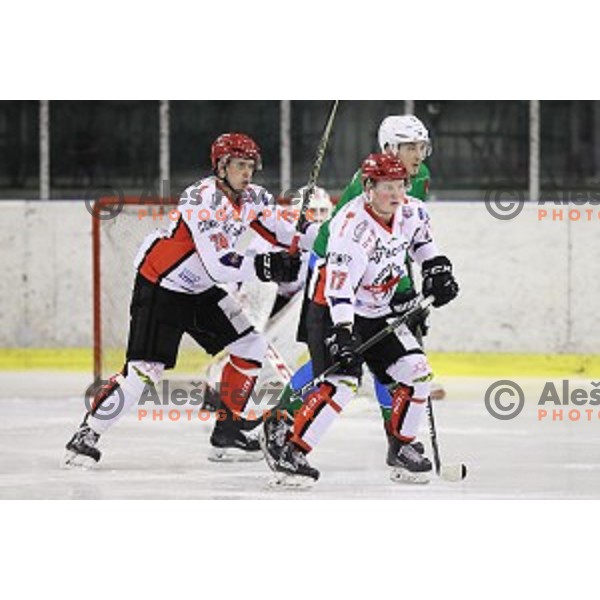 of SZ Olimpija in action during quarter-final of Alps League ice-hockey match between SZ Olimpija and Acroni Jesenice in Tivoli Hall, Ljubljana, Slovenia on March 8, 2018
