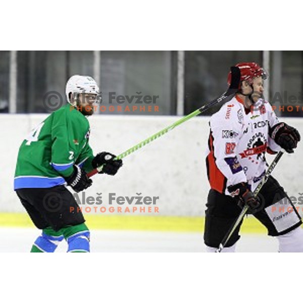of SZ Olimpija in action during quarter-final of Alps League ice-hockey match between SZ Olimpija and Acroni Jesenice in Tivoli Hall, Ljubljana, Slovenia on March 8, 2018