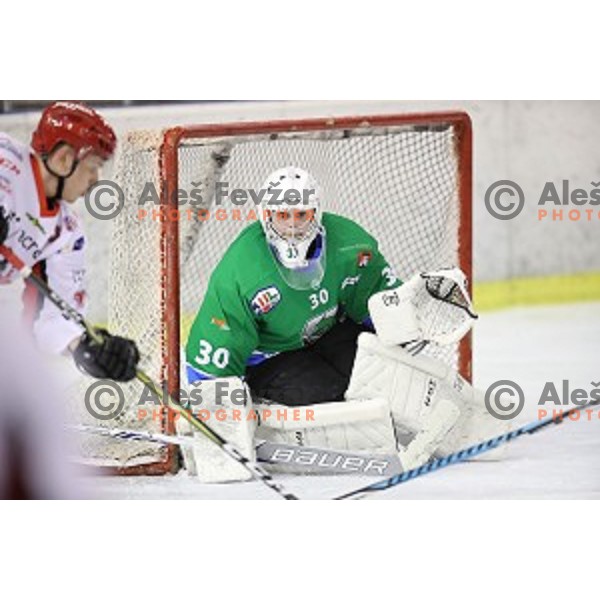 of SZ Olimpija in action during quarter-final of Alps League ice-hockey match between SZ Olimpija and Acroni Jesenice in Tivoli Hall, Ljubljana, Slovenia on March 8, 2018