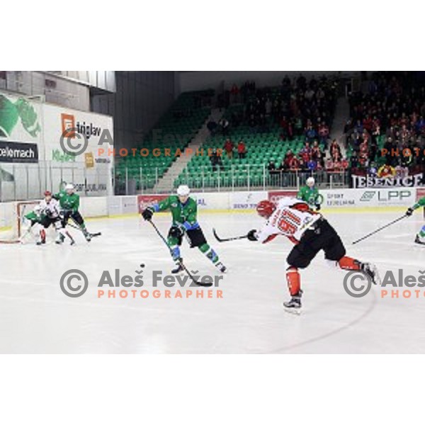 of SZ Olimpija in action during quarter-final of Alps League ice-hockey match between SZ Olimpija and Acroni Jesenice in Tivoli Hall, Ljubljana, Slovenia on March 8, 2018