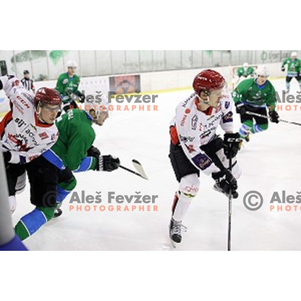 of SZ Olimpija in action during quarter-final of Alps League ice-hockey match between SZ Olimpija and Acroni Jesenice in Tivoli Hall, Ljubljana, Slovenia on March 8, 2018