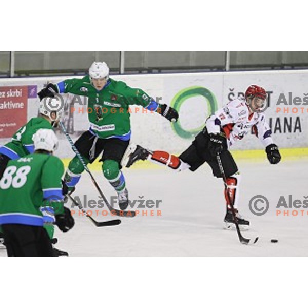 Luka Kalan in action during quarter-final of Alps League ice-hockey match between SZ Olimpija and Acroni Jesenice in Tivoli Hall, Ljubljana, Slovenia on March 8, 2018