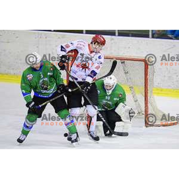 of SZ Olimpija in action during quarter-final of Alps League ice-hockey match between SZ Olimpija and Acroni Jesenice in Tivoli Hall, Ljubljana, Slovenia on March 13, 2018