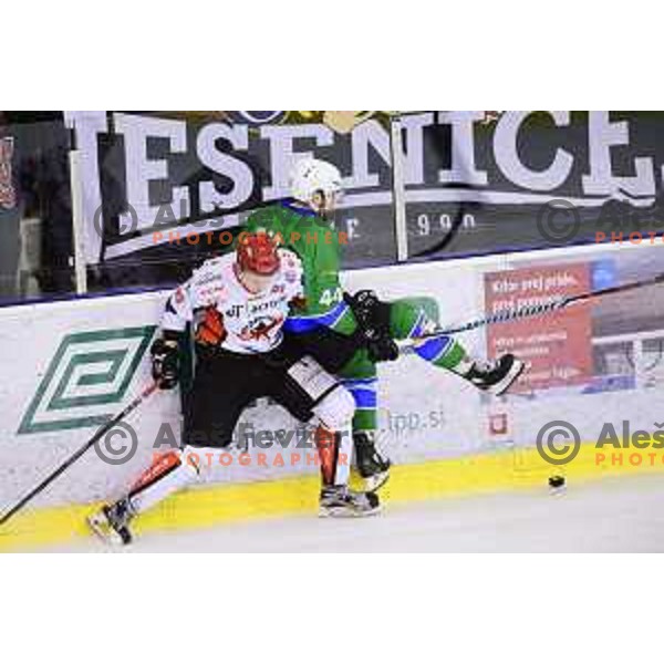 of SZ Olimpija in action during quarter-final of Alps League ice-hockey match between SZ Olimpija and Acroni Jesenice in Tivoli Hall, Ljubljana, Slovenia on March 13, 2018