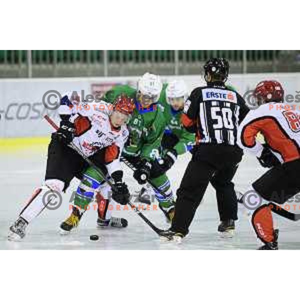of SZ Olimpija in action during quarter-final of Alps League ice-hockey match between SZ Olimpija and Acroni Jesenice in Tivoli Hall, Ljubljana, Slovenia on March 13, 2018