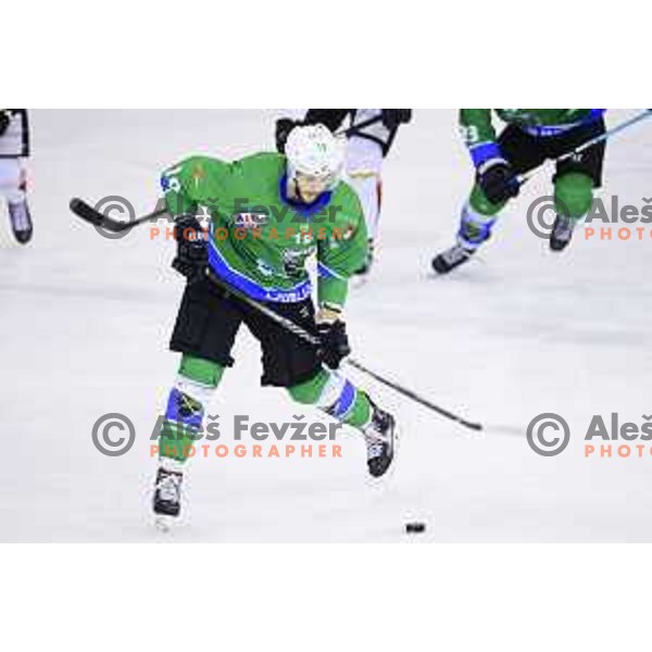 of SZ Olimpija in action during quarter-final of Alps League ice-hockey match between SZ Olimpija and Acroni Jesenice in Tivoli Hall, Ljubljana, Slovenia on March 13, 2018