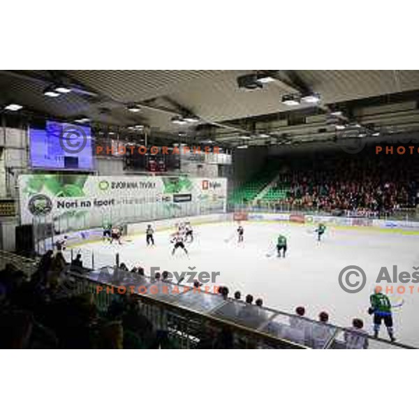 of SZ Olimpija in action during quarter-final of Alps League ice-hockey match between SZ Olimpija and Acroni Jesenice in Tivoli Hall, Ljubljana, Slovenia on March 13, 2018