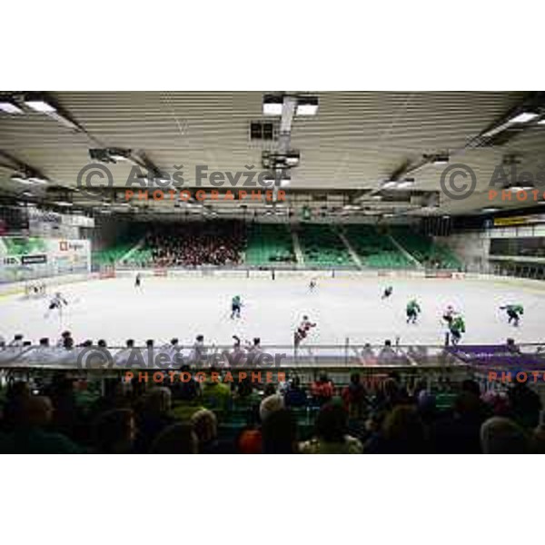 of SZ Olimpija in action during quarter-final of Alps League ice-hockey match between SZ Olimpija and Acroni Jesenice in Tivoli Hall, Ljubljana, Slovenia on March 13, 2018