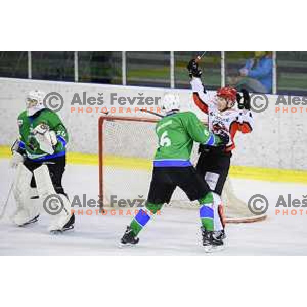 of SZ Olimpija in action during quarter-final of Alps League ice-hockey match between SZ Olimpija and Acroni Jesenice in Tivoli Hall, Ljubljana, Slovenia on March 13, 2018