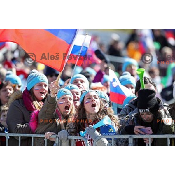 More than 13.000 fans cheering at Ski flying Qualification during the Final of Ski jumping World Cup 2017/2018 in Planica, Slovenia on March 22, 2018