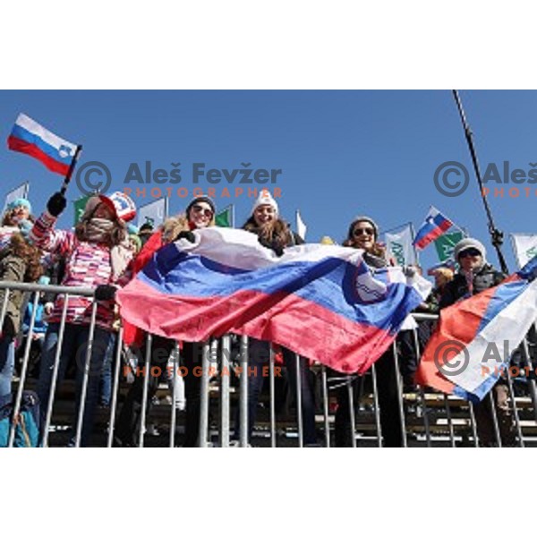 More than 13.000 fans cheering at Ski flying Qualification during the Final of Ski jumping World Cup 2017/2018 in Planica, Slovenia on March 22, 2018