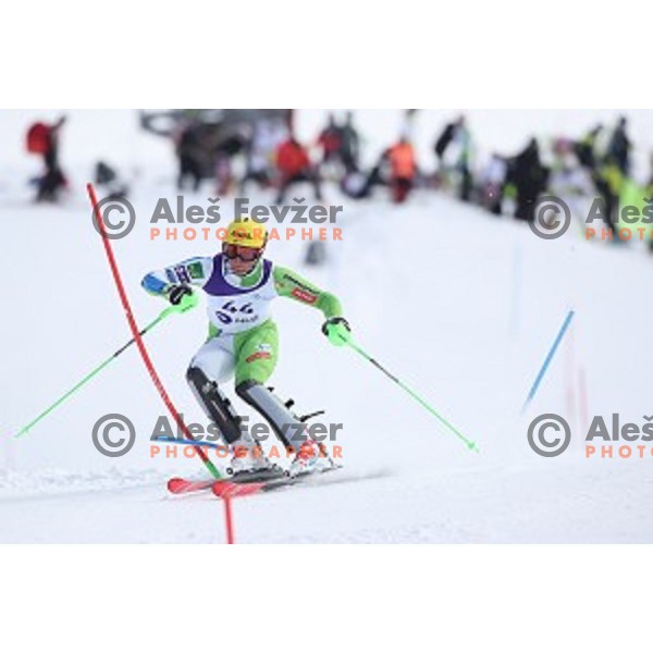 Stefan Hadalin, winner of Men\'s Slalom at Slovenian National Championships at Krvavc Ski Resort, Cerklje on March 24, 2018