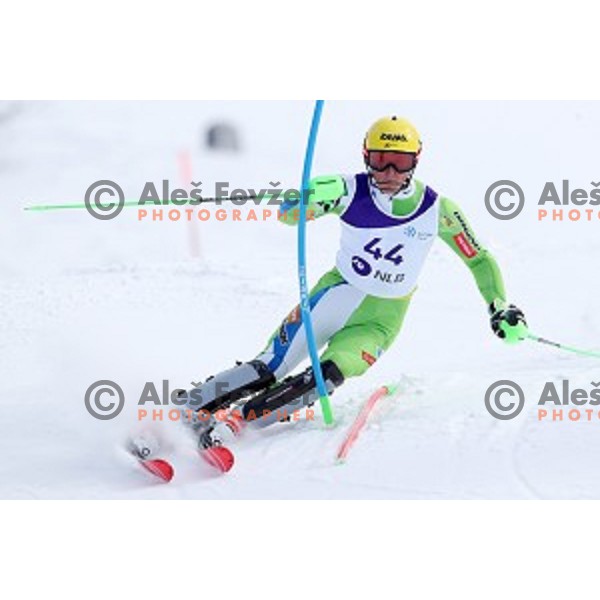 Stefan Hadalin, winner of Men\'s Slalom at Slovenian National Championships at Krvavc Ski Resort, Cerklje on March 24, 2018