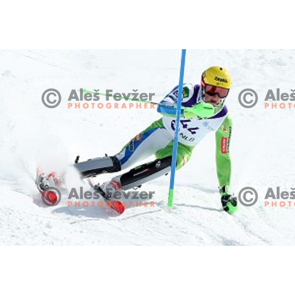 Stefan Hadalin, winner of Men\'s Slalom at Slovenian National Championships at Krvavc Ski Resort, Cerklje on March 24, 2018