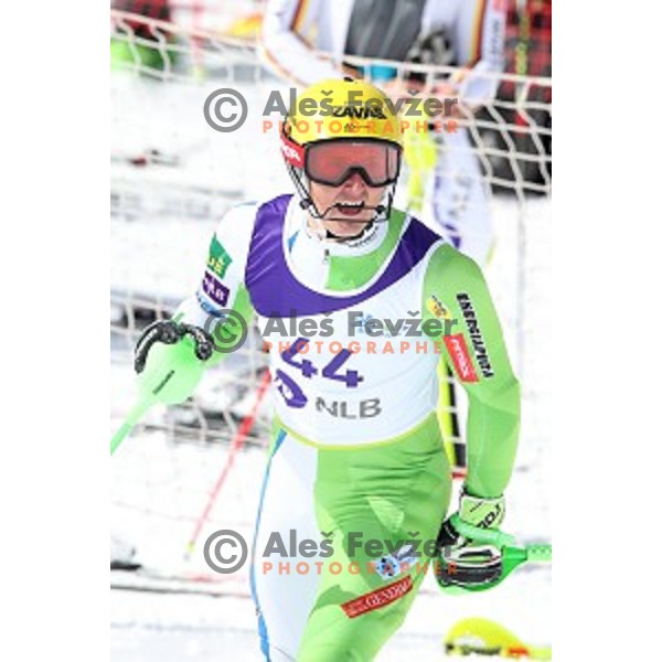 Stefan Hadalin, winner of Men\'s Slalom at Slovenian National Championships at Krvavc Ski Resort, Cerklje on March 24, 2018