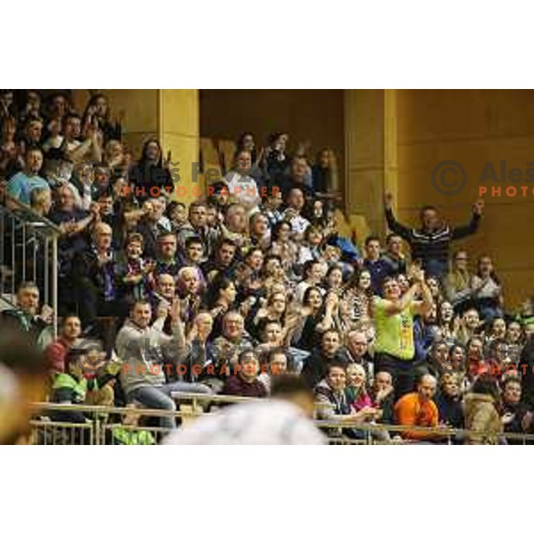 action during 1.NLB league handball match between Riko Ribnica and Celje Pivovarna Lasko in Ribnica Sports Centre, Slovenia on March 24, 2018