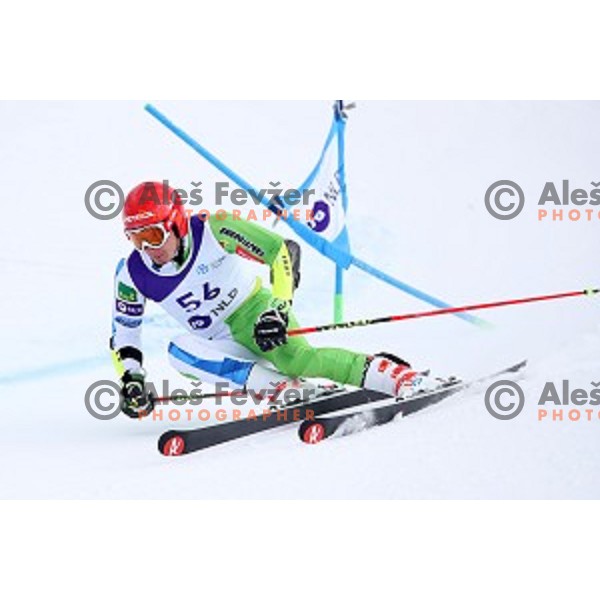 Zan Kranjec skiing during Men\'s Giant Slalom at Slovenian National Championships at Krvavc Ski Resort, Cerklje on March 26, 2018