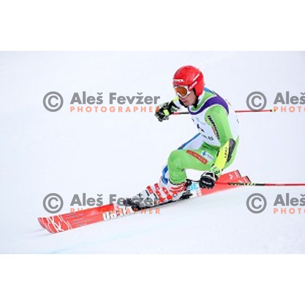 Zan Kranjec skiing during Men\'s Giant Slalom at Slovenian National Championships at Krvavc Ski Resort, Cerklje on March 26, 2018