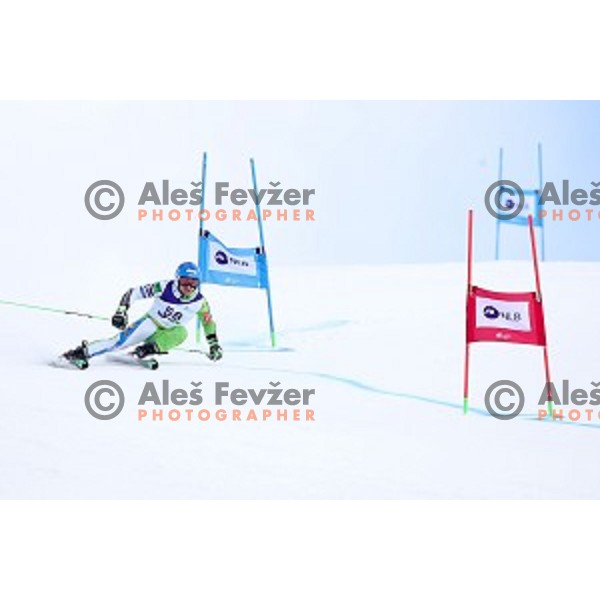 Zan Groselj skiing during Men\'s Giant Slalom at Slovenian National Championships at Krvavc Ski Resort, Cerklje on March 26, 2018
