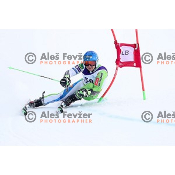 Zan Groselj skiing during Men\'s Giant Slalom at Slovenian National Championships at Krvavc Ski Resort, Cerklje on March 26, 2018