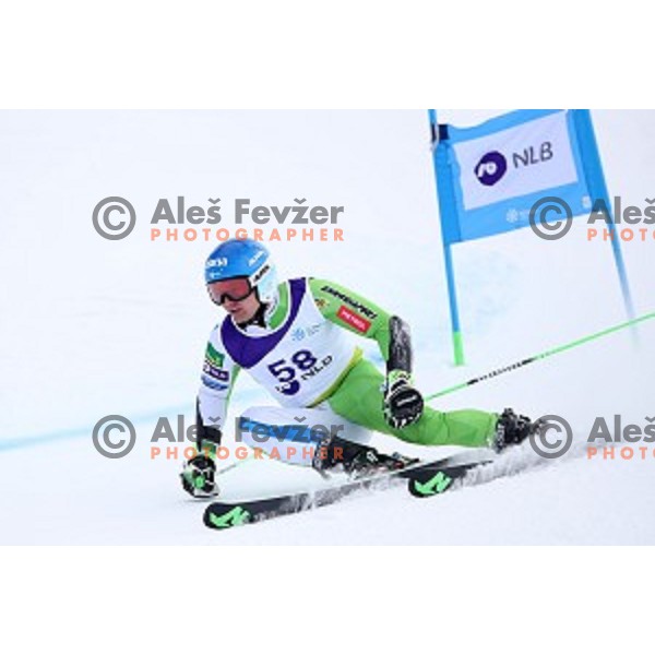 Zan Groselj skiing during Men\'s Giant Slalom at Slovenian National Championships at Krvavc Ski Resort, Cerklje on March 26, 2018