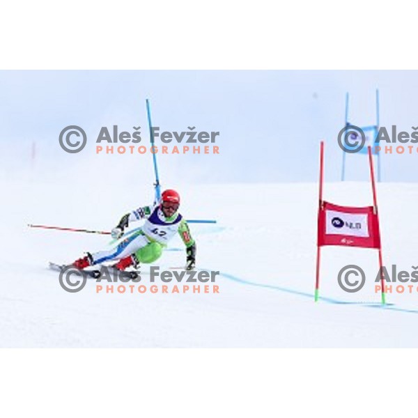 Miha Hrobat skiing during Men\'s Giant Slalom at Slovenian National Championships at Krvavc Ski Resort, Cerklje on March 26, 2018