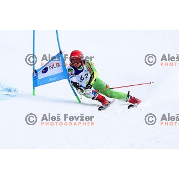 Miha Hrobat skiing during Men\'s Giant Slalom at Slovenian National Championships at Krvavc Ski Resort, Cerklje on March 26, 2018