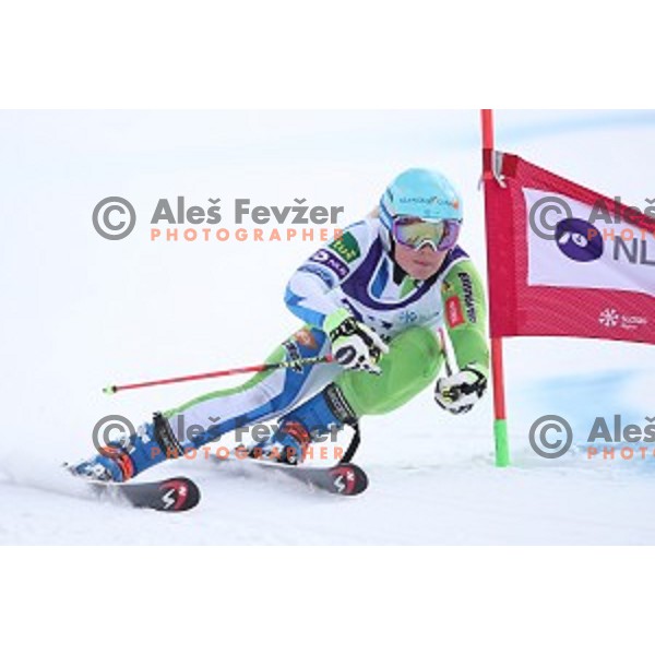 Mata Hrovat skiing during Ladies Giant Slalom at Slovenian National Championships at Krvavc Ski Resort, Cerklje on March 26, 2018