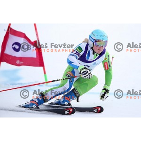Mata Hrovat skiing during Ladies Giant Slalom at Slovenian National Championships at Krvavc Ski Resort, Cerklje on March 26, 2018
