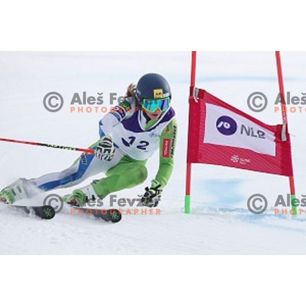 Desiree Ajlec skiing during Ladies Giant Slalom at Slovenian National Championships at Krvavc Ski Resort, Cerklje on March 26, 2018