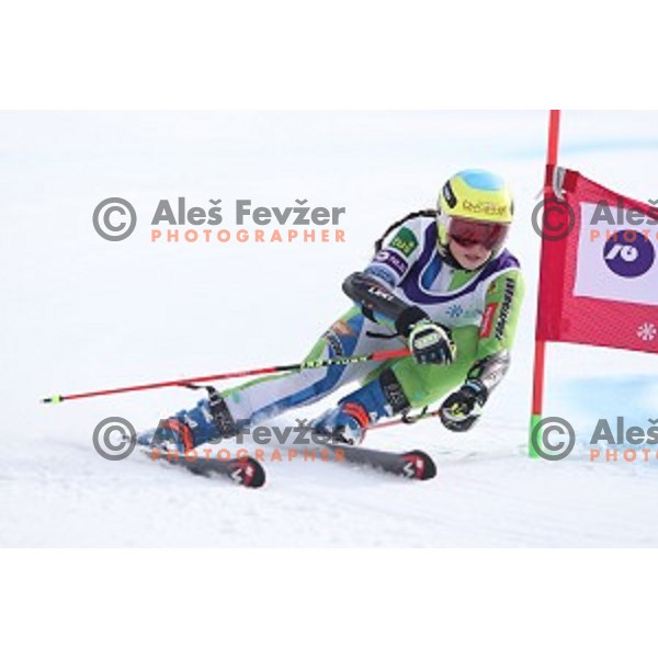 Neja Dvornik skiing during Ladies Giant Slalom at Slovenian National Championships at Krvavc Ski Resort, Cerklje on March 26, 2018