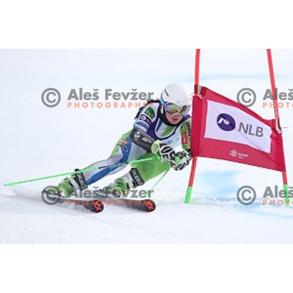 Andreja Slokar skiing during Ladies Giant Slalom at Slovenian National Championships at Krvavc Ski Resort, Cerklje on March 26, 2018