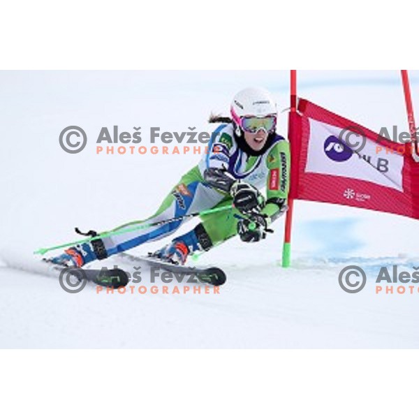 Klara Livk skiing during Ladies Giant Slalom at Slovenian National Championships at Krvavc Ski Resort, Cerklje on March 26, 2018