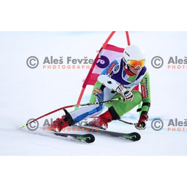 Zana Ciglic skiing during Ladies Giant Slalom at Slovenian National Championships at Krvavc Ski Resort, Cerklje on March 26, 2018