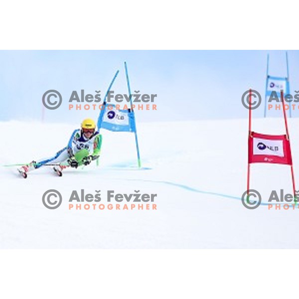 Stefan Hadalin skiing during Men\'s Giant Slalom at Slovenian National Championships at Krvavc Ski Resort, Cerklje on March 26, 2018