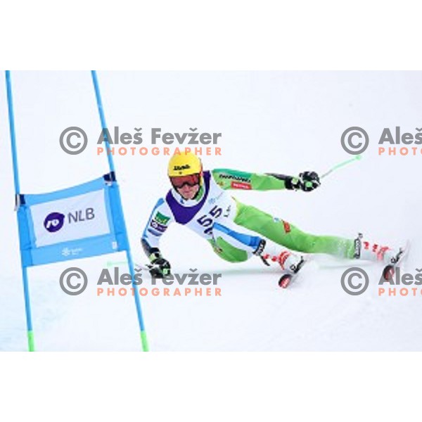 Stefan Hadalin skiing during Men\'s Giant Slalom at Slovenian National Championships at Krvavc Ski Resort, Cerklje on March 26, 2018