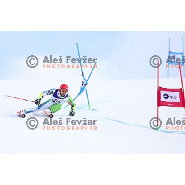 Zan Kranjec skiing during Men\'s Giant Slalom at Slovenian National Championships at Krvavc Ski Resort, Cerklje on March 26, 2018