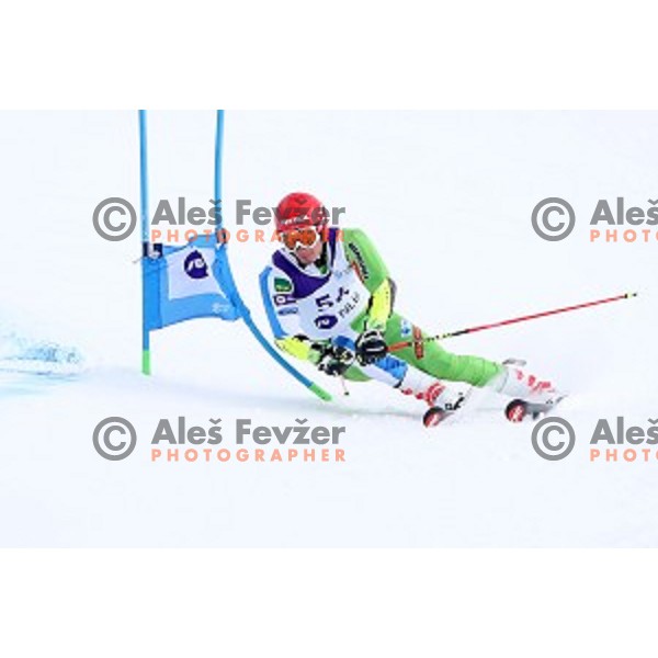 Zan Kranjec skiing during Men\'s Giant Slalom at Slovenian National Championships at Krvavc Ski Resort, Cerklje on March 26, 2018