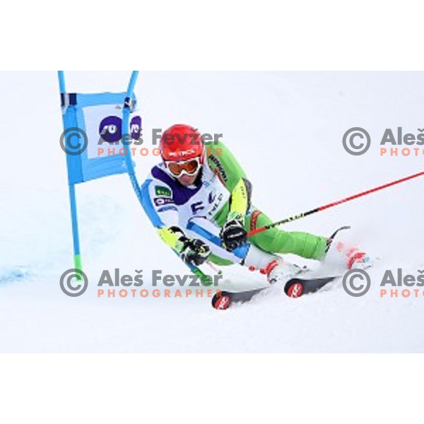 Zan Kranjec skiing during Men\'s Giant Slalom at Slovenian National Championships at Krvavc Ski Resort, Cerklje on March 26, 2018