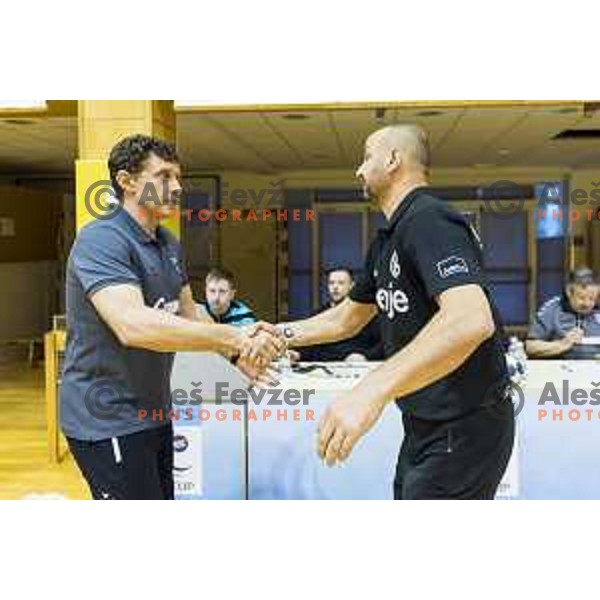 Ribnica’s head coach Sinisa Markota and Gorenje’s head coach Zeljko Babic in action during 1. NLB league handball match between Riko Ribnica and Gorenje Velenje, in Ribnica Sports Centre, Ribnica, on 30 March 2018 