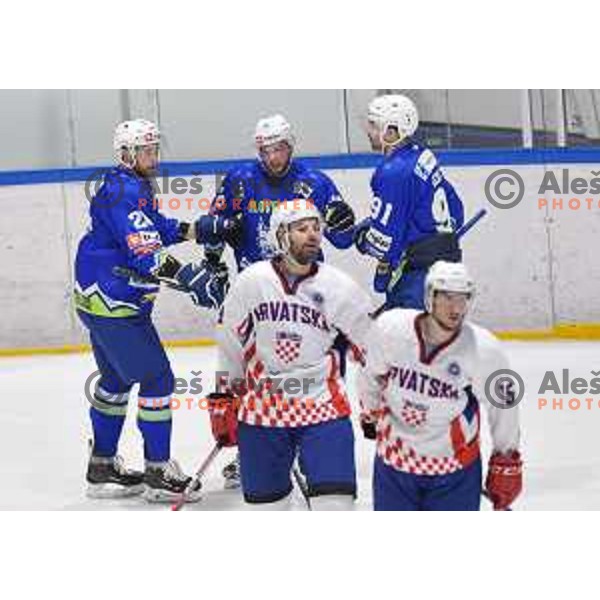 of Slovenia in action durnig friendly ice-hockey match between Slovenia and Croatia in Celje, Slovenia on April 8, 2018